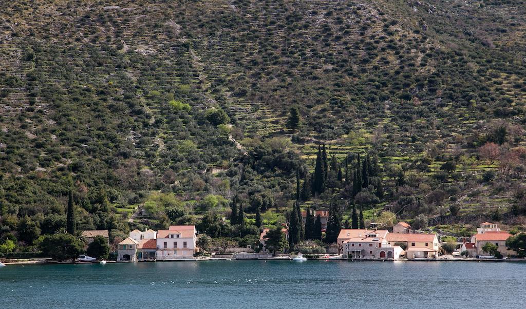 Apartments Zaton Bay Dubrovnik Oda fotoğraf